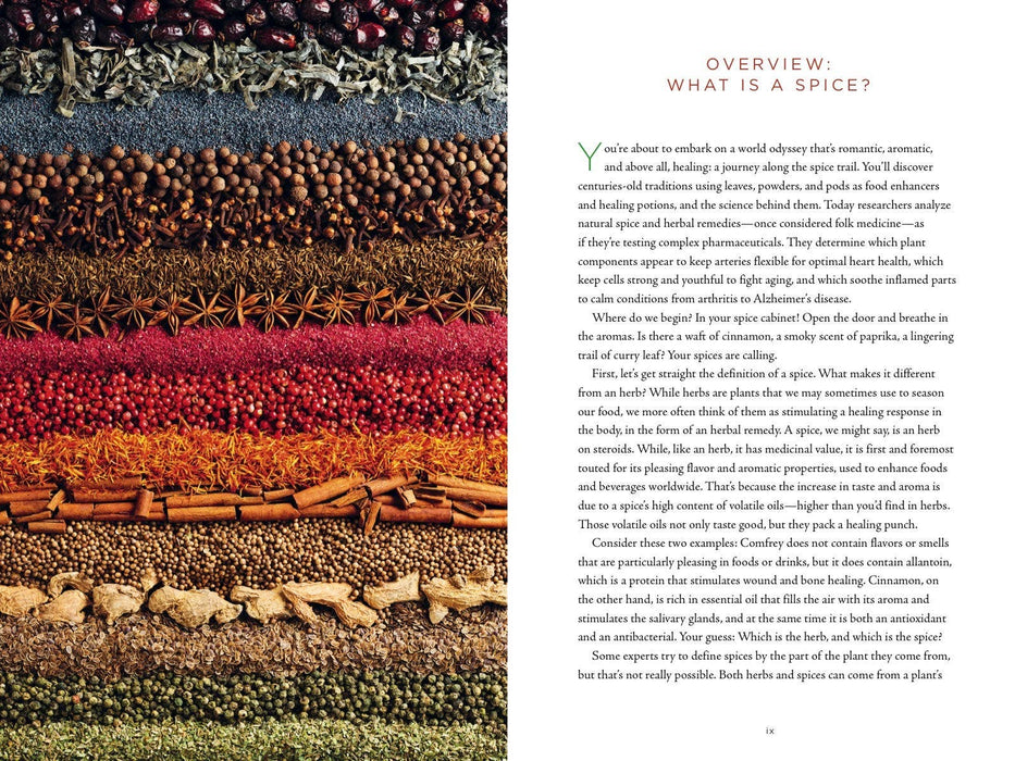 Healing Spices Handbook: Recipes for Natural Living - Barbara Brownell Grogan