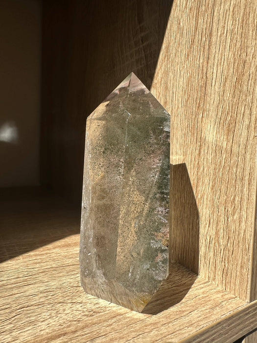 Harvinainen lodoliitti-torni – vihreä puutarhamaisema #8