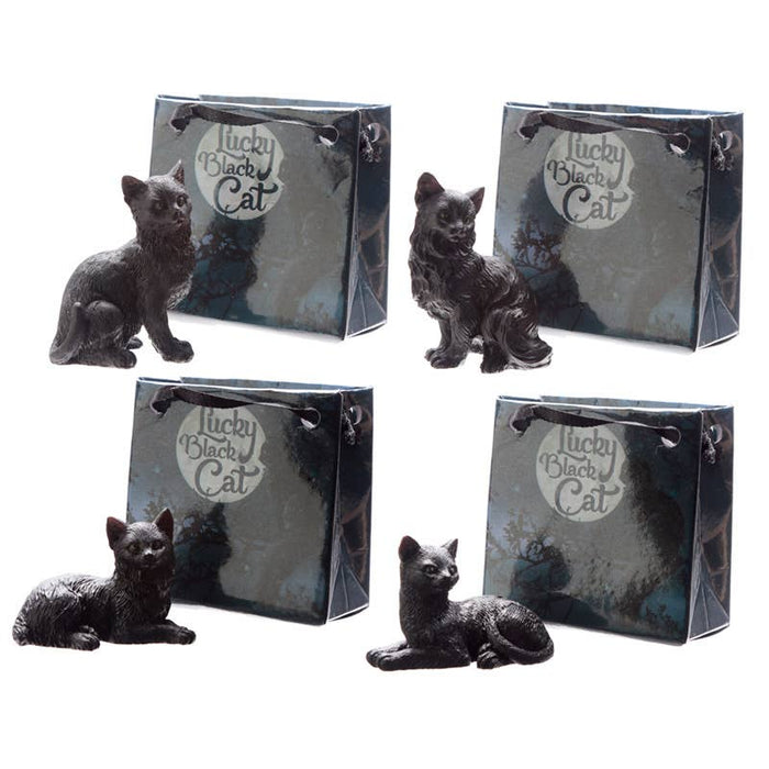 Lucky Black Cat – onnenkissa minilahjakassissa