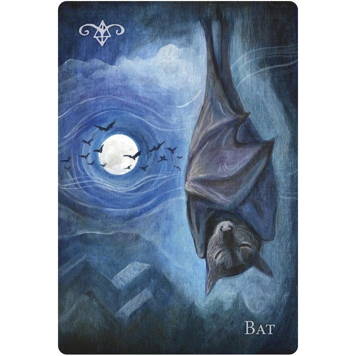 A Witch's Ally Oracle- Dodie Graham McKay, Laura Tempest Zakroff