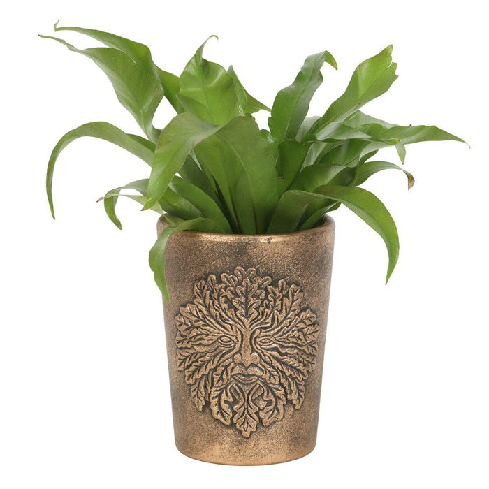 Green Man Bronze Terracotta Flower pot approx. 17cm high - Lisa Parker