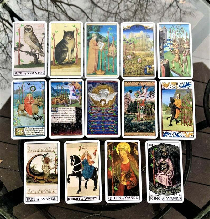 Schlangen- und Pfauen-Tarot in einer Dose – Erstausgabe mit Rändern – Libra Moon Inc. (Indie/Import) 