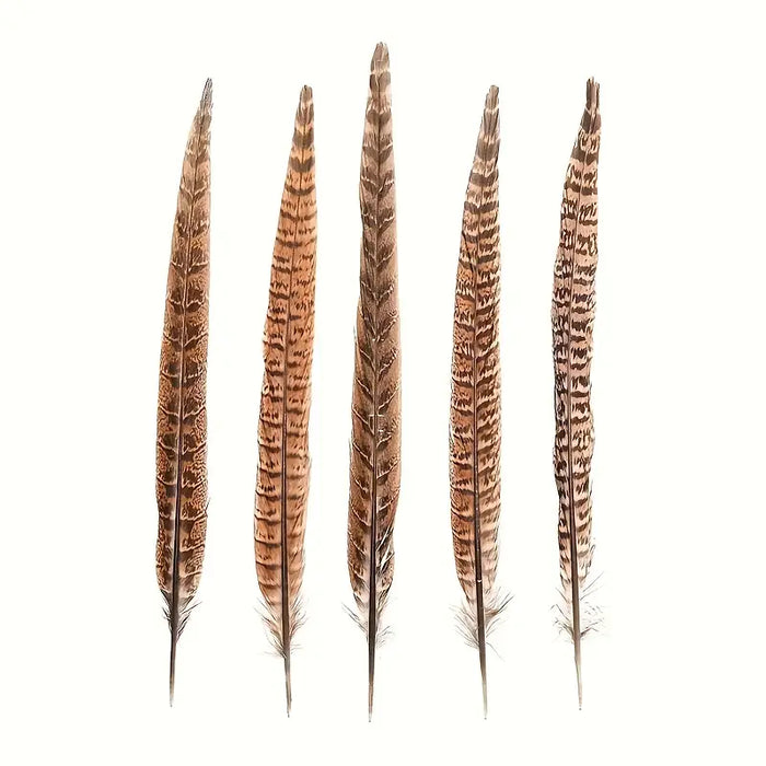 Pheasant feather approx. 30-35cm