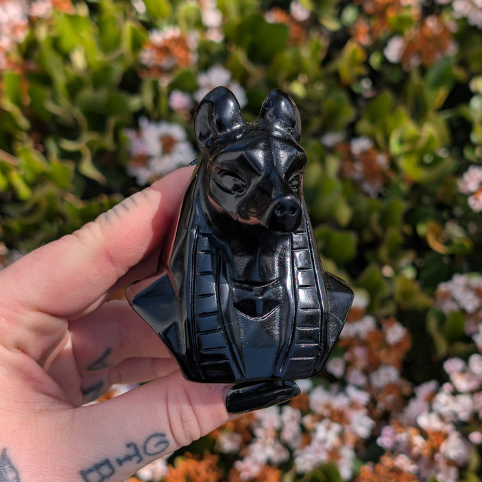Obsidiaani Anubis