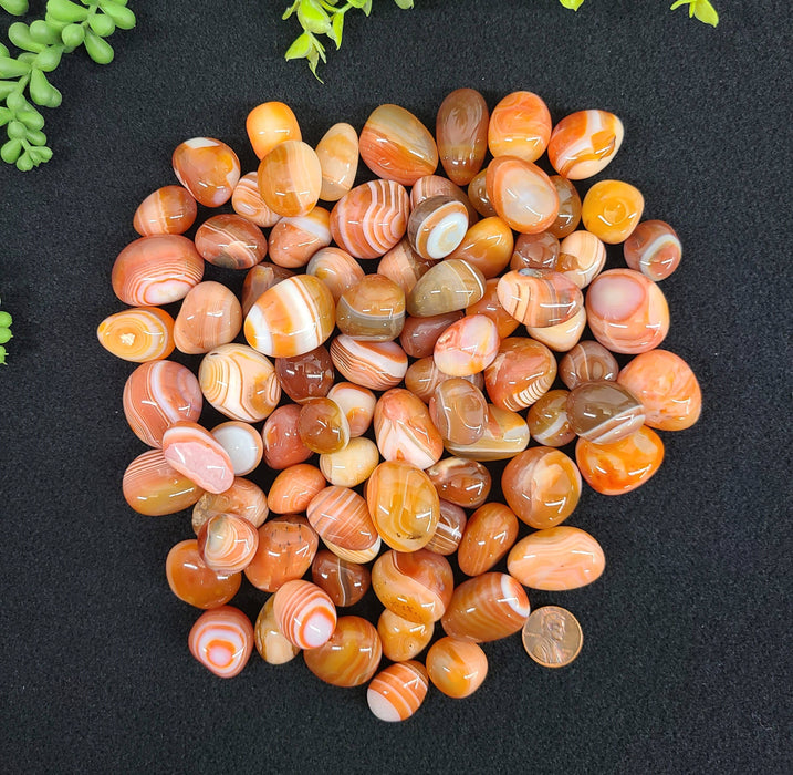 Striped carnelian 2-3cm