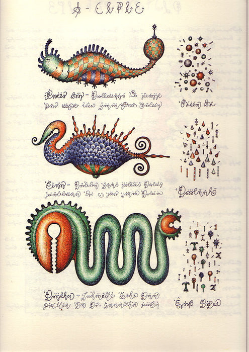 Voynich Oracle Deck: Unveil the Mysteries of the Enigmatic Manuscript - Griffin Publishing (Kickstarter 2025)