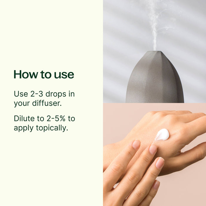 Fir Needle eteerinen öljy 10 ml - Plant Therapy