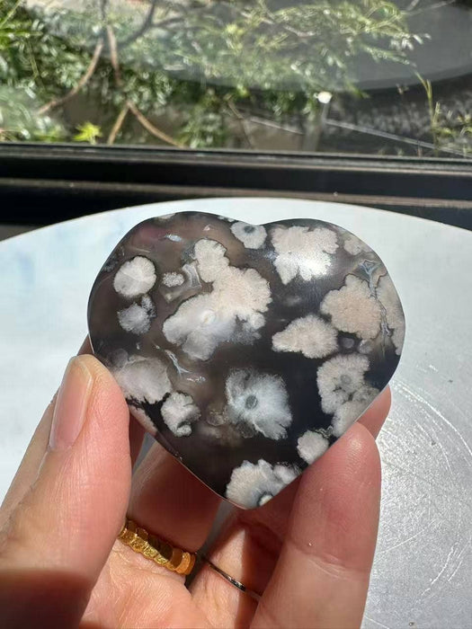 Musta kukka-akaatti sydän 4–6 cm – Kasvu ja suoja