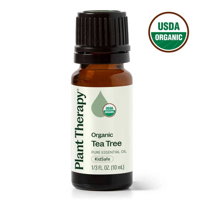Organic Tea Tree eteerinen öljy 10ml - Plant Therapy