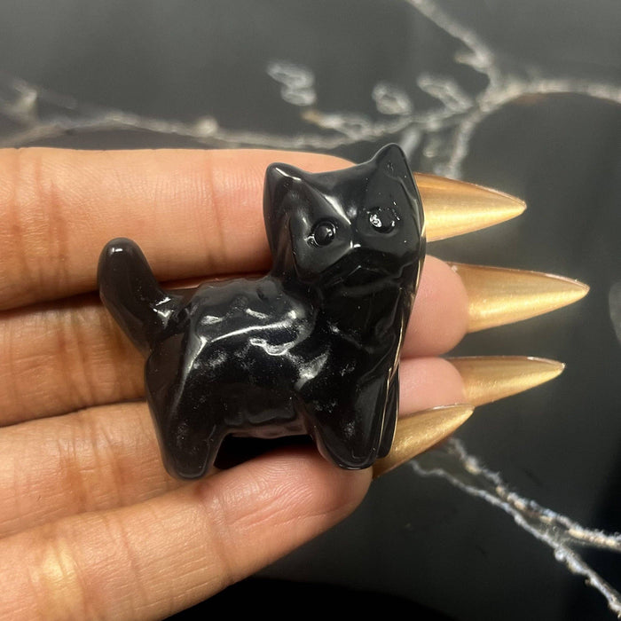Obsidiaani kissanpentu