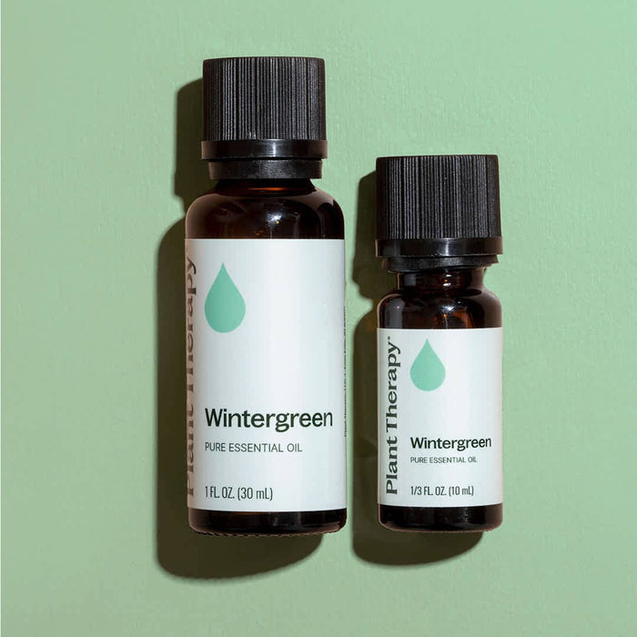 Wintergreen Eteerinen öljy 10 ml - Plant Therapy