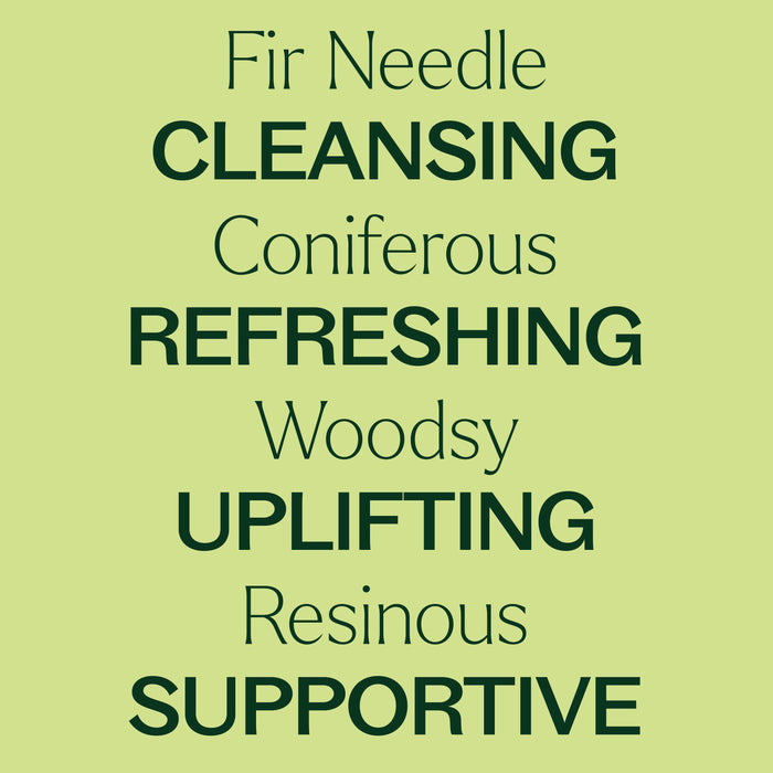 Fir Needle eteerinen öljy 10 ml - Plant Therapy
