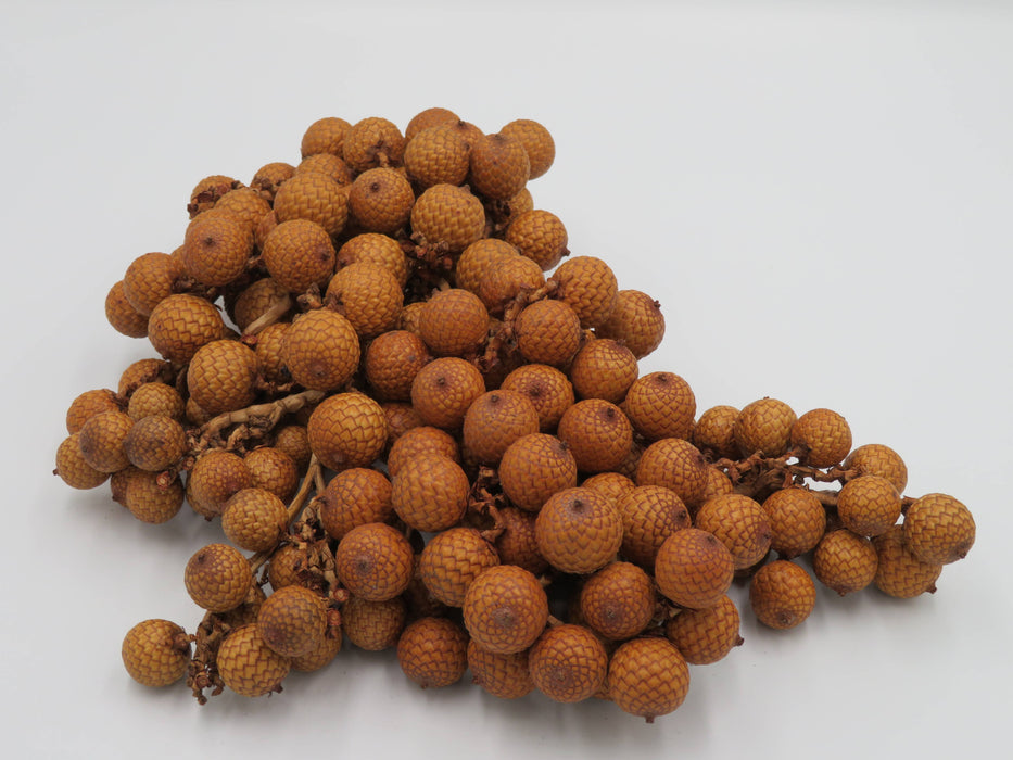 Rattan Fruit – luonnonkoriste