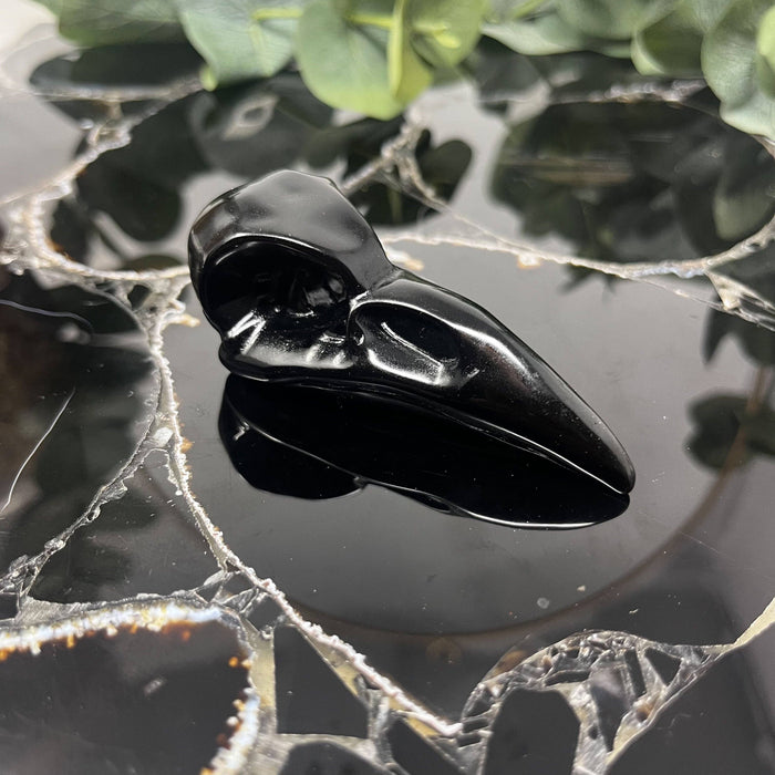 Obsidiaani korpin kallo