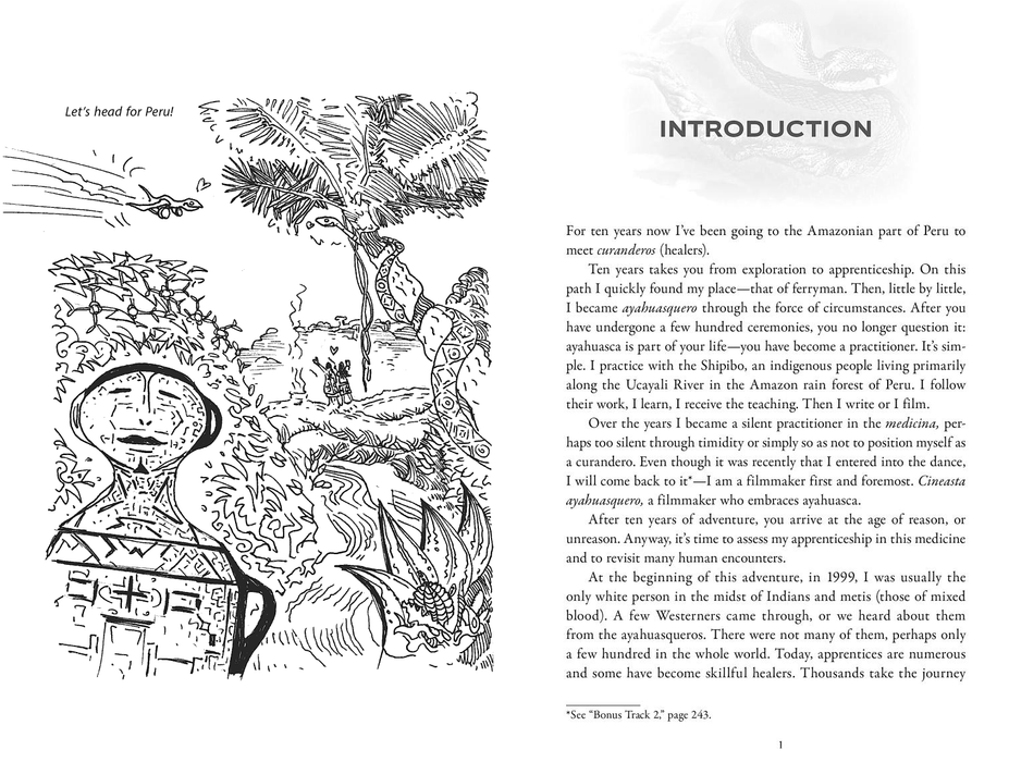 Visionary Ayahuasca: Therapeutic & Spiritual Journeys Manual - Jan Kounen