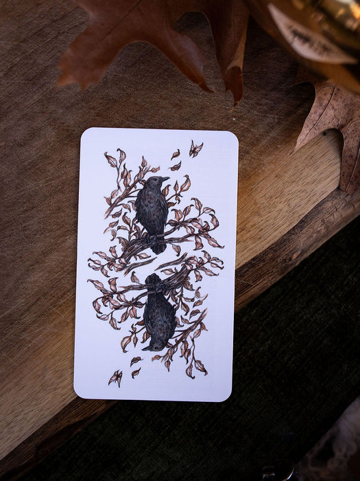 Oak Ash & Thorn (new edition 2026) - Stephanie Burrows & Adam Oehlers