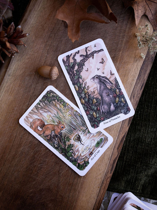 Oak Ash & Thorn (new edition 2026) - Stephanie Burrows & Adam Oehlers