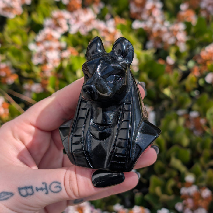 Obsidiaani Anubis