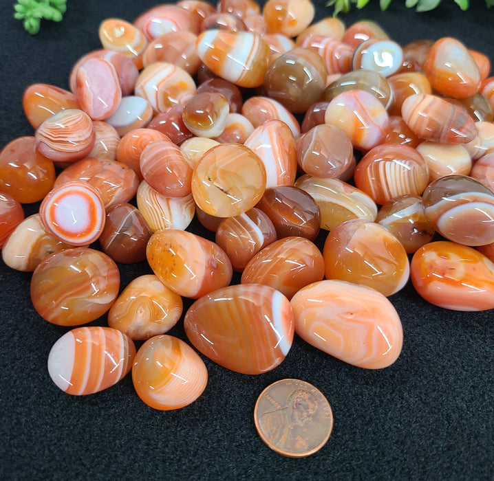 Striped carnelian 2-3cm