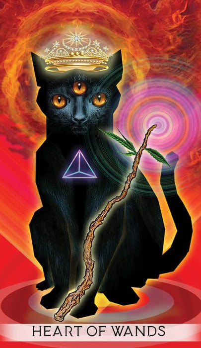 The Unifying Conciousness Tarot - Lori Lytle, Leo Scopacasa