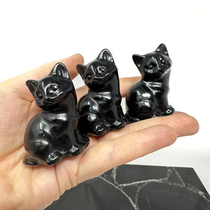 Obsidiaanikissa istuva
