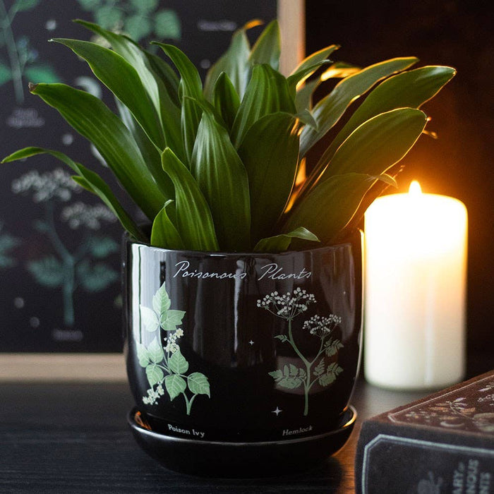 Poisonous Plants Gothic Keraaminen kukkaruukku