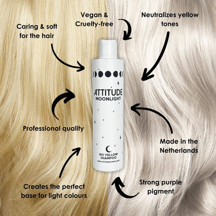 Moonlight No Yellow Shampoo - Attitude Hair Dye