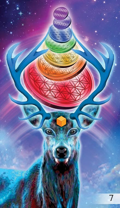 The Unifying Conciousness Tarot - Lori Lytle, Leo Scopacasa