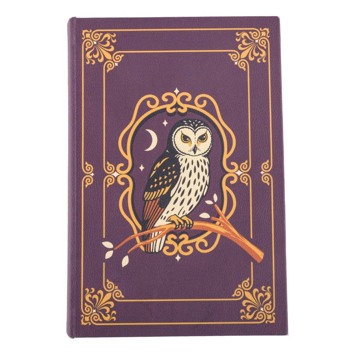 Supervisor Owlfred's Secret Book Box säilytysrasia - FootClothes