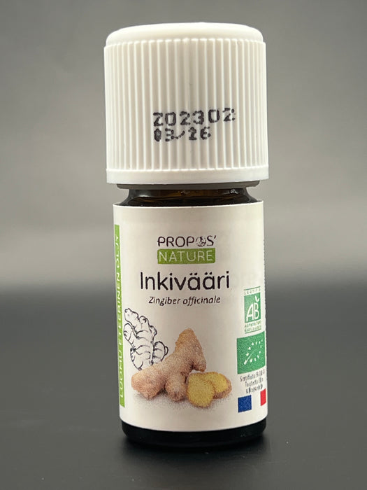 Inkivääri eteerinen öljy BIO 5ml - Laboratoire Propos'Nature