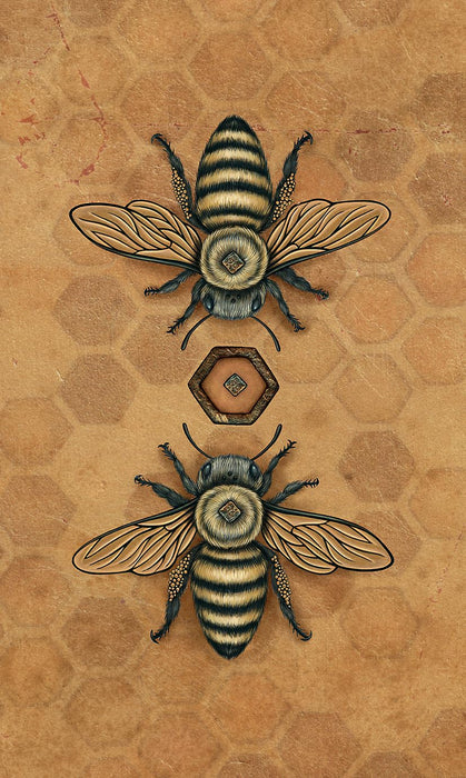 Bee Tarot - Kristoffer Hughes, Nadia Turner