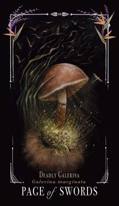 Midnight Magic : A Tarot Deck of Mushrooms - Sara Richard