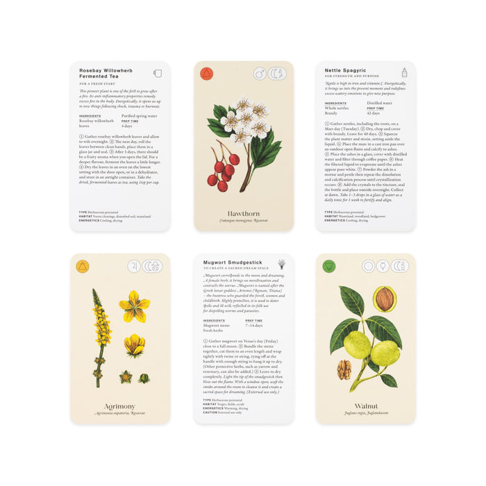 Wild Alchemy Lab: An Astro-botanical Remedy Deck -  Jemma Foster