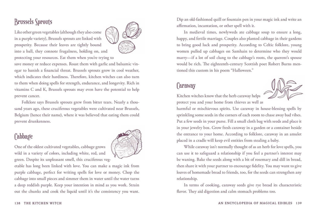 The Kitchen Witch : Your Complete Guide to Creating a Magical Kitchen with Natural Ingredients, Sacred Rituals, and Spellwork - Skye Alexander