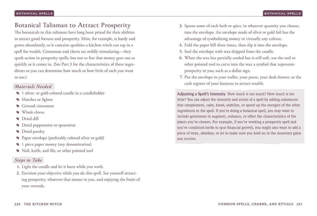 The Kitchen Witch : Your Complete Guide to Creating a Magical Kitchen with Natural Ingredients, Sacred Rituals, and Spellwork - Skye Alexander