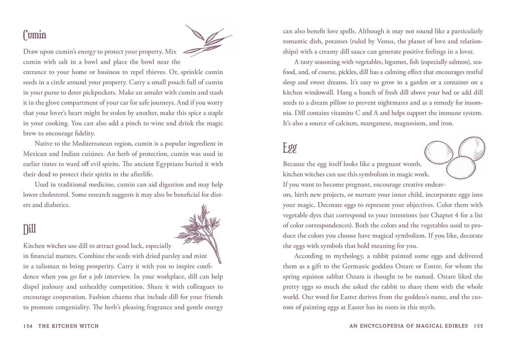 The Kitchen Witch : Your Complete Guide to Creating a Magical Kitchen with Natural Ingredients, Sacred Rituals, and Spellwork - Skye Alexander