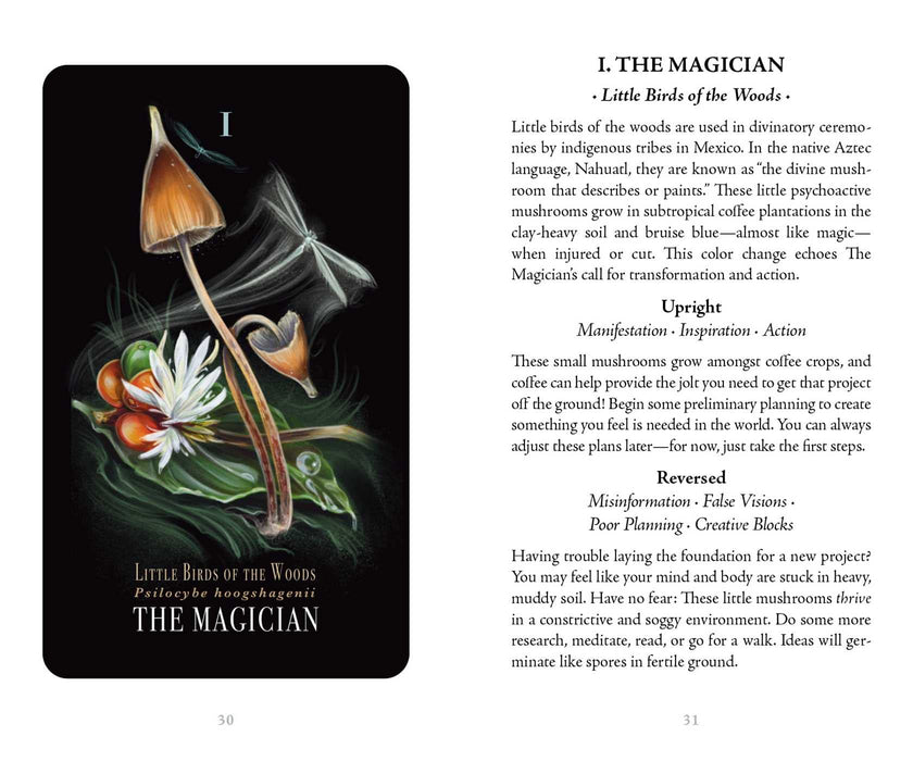 Midnight Magic : A Tarot Deck of Mushrooms - Sara Richard