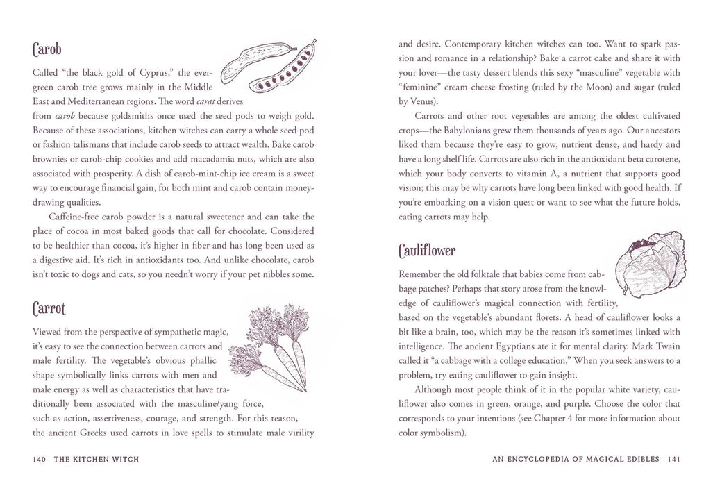 The Kitchen Witch : Your Complete Guide to Creating a Magical Kitchen with Natural Ingredients, Sacred Rituals, and Spellwork - Skye Alexander