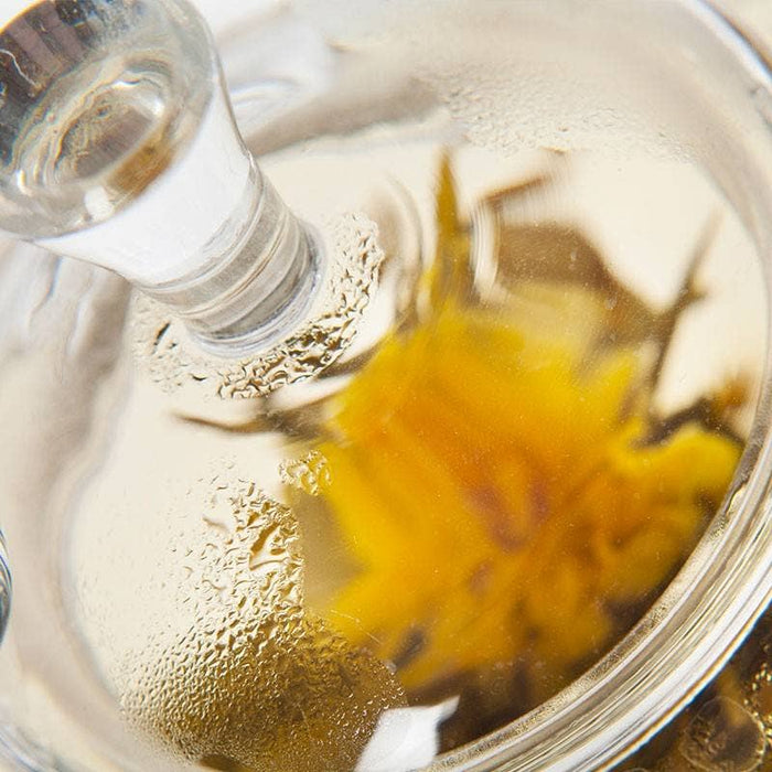 Lasinen teekannu teräksisellä suodattimella, 500 ml