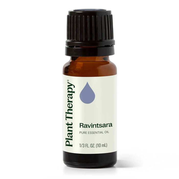 Ravintsara eteerinen öljy 10ml - Plant Therapy