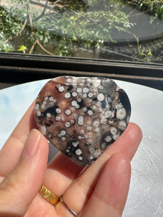 Musta kukka-akaatti sydän 4–6 cm – Kasvu ja suoja