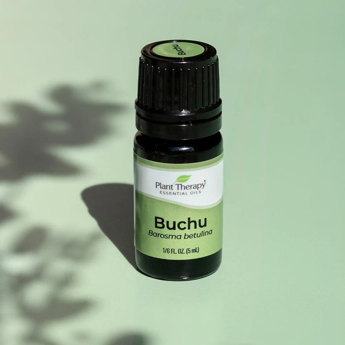 Ätherische Buchu-Ölmischung 5 ml – Pflanzentherapie