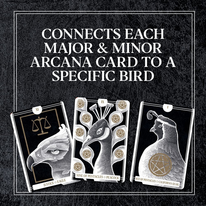 The Avian Tarot - Brittany Lyn Batchelder