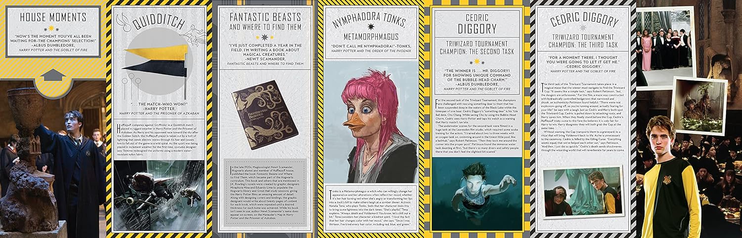 Harry Potter: Hufflepuff Magic - Artifacts from the Wizarding World - Titan Books Ltd