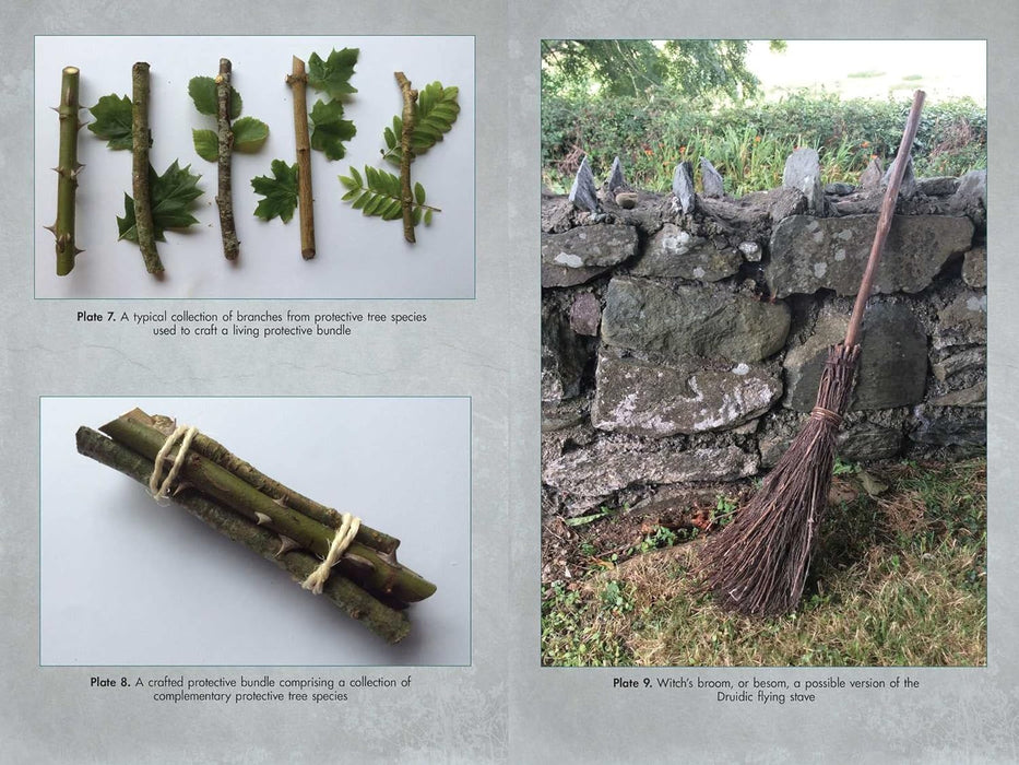 Living Wands of the Druids: Harvesting, Crafting, and Casting with Magical Tools - Jon G. Hughes