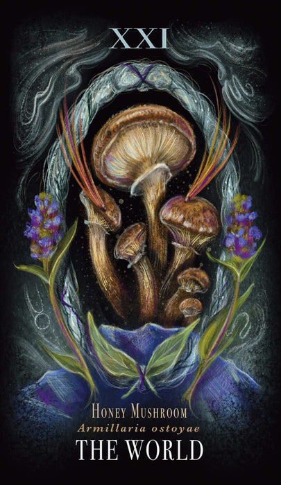 Midnight Magic : A Tarot Deck of Mushrooms - Sara Richard