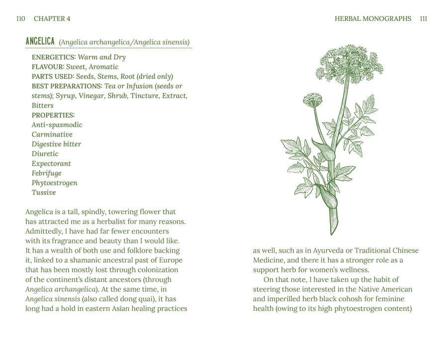 Herbalism: Plants and Potions that Heal (Arcturus Hidden Knowledge) - Adrian White