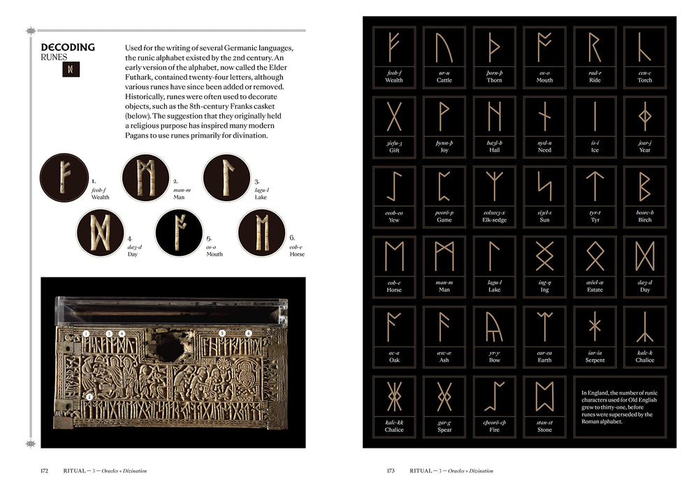 Pagans : The Visual Culture of Pagan Myths, Legends and Rituals - Ethan Doyle White