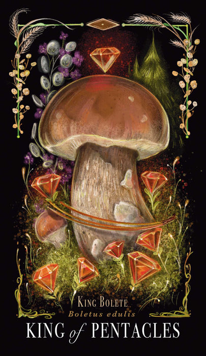 Midnight Magic : A Tarot Deck of Mushrooms - Sara Richard