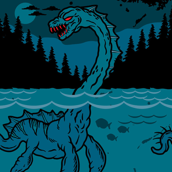 Nessie sukat - FootClothes